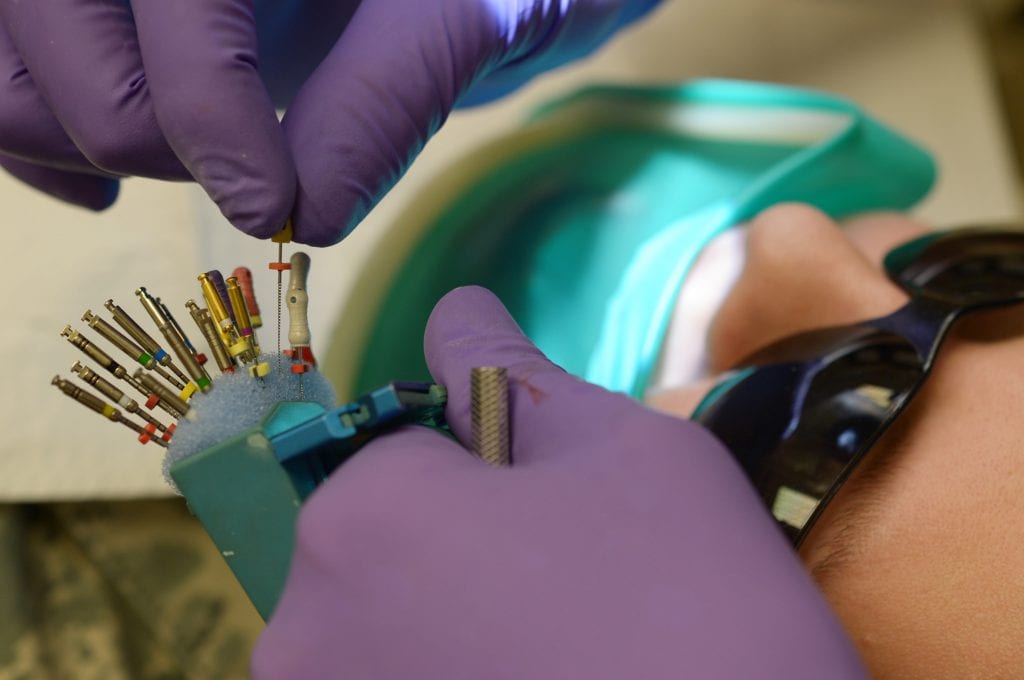 Sdn 2024 Endodontics Sonya Virgie